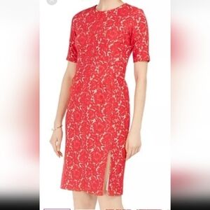 Taylor Lace Knee Length Holiday Cocktail Dinner Party Dress sz 8